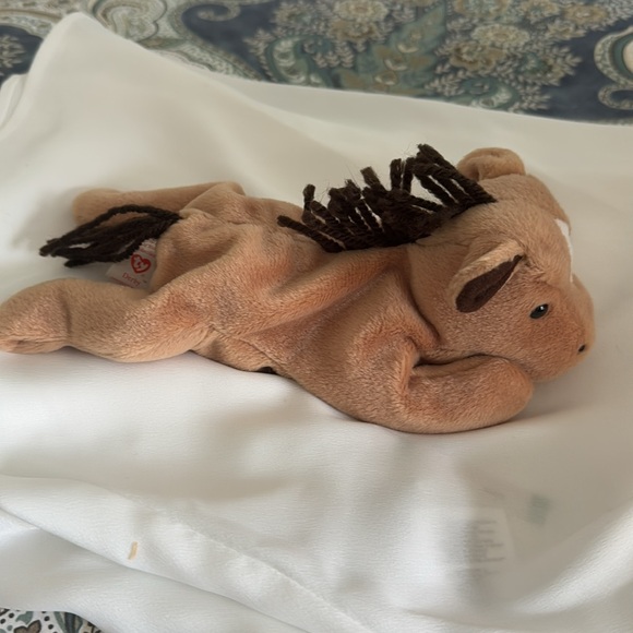 TY Derby - Picture 3 of 4